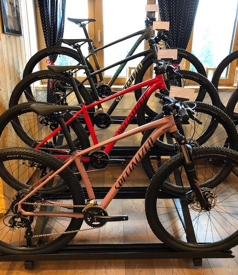 specialized rockhopper 2020_1